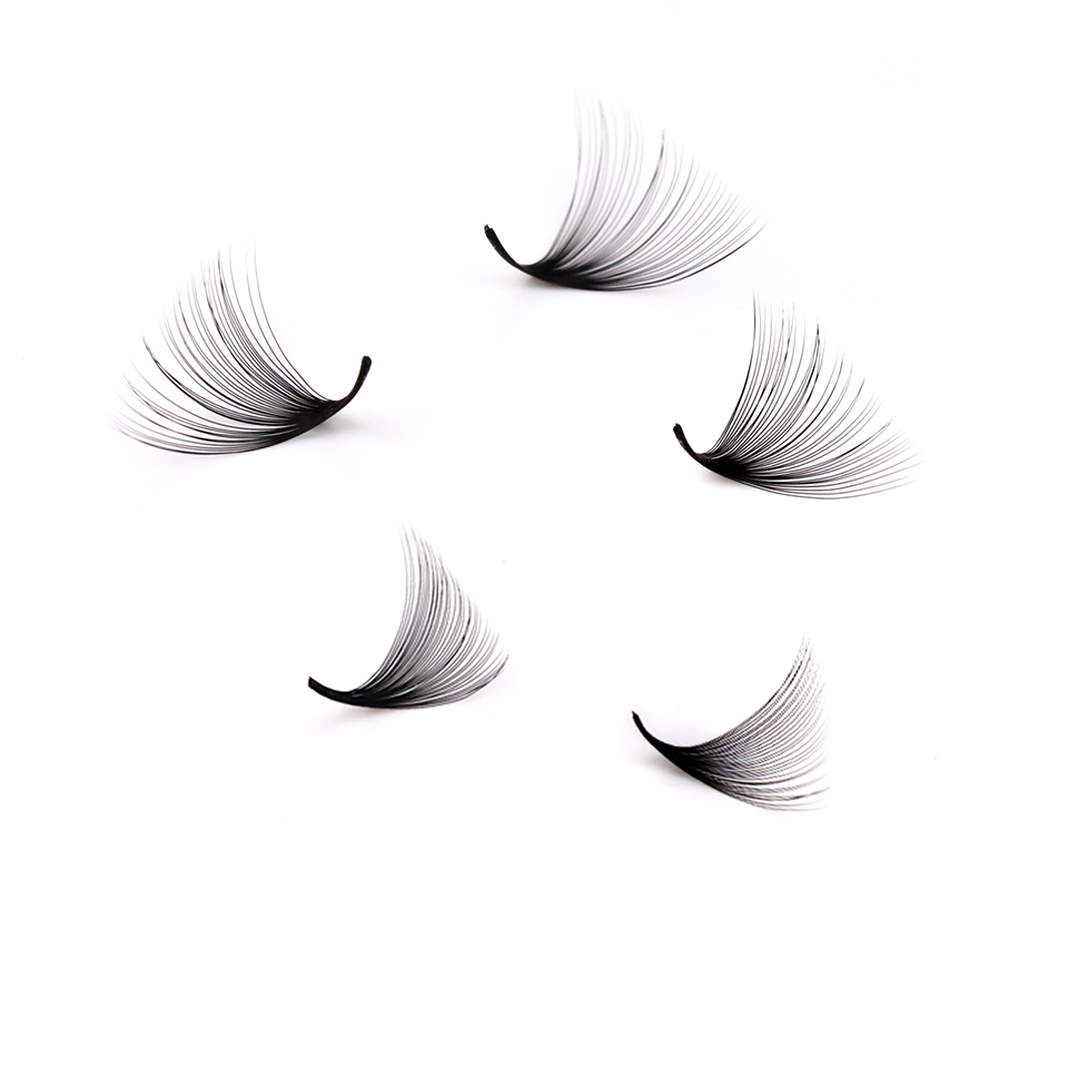 Lashprofessor XL Tray 3D 4D 5D – Eyelash Extension Review recenzja i cena